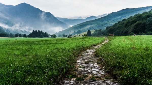 Ressourcement & Retour à Soi – Image 21